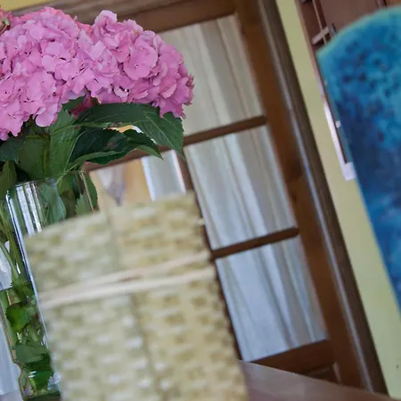 Venkovský dům San Pedro *