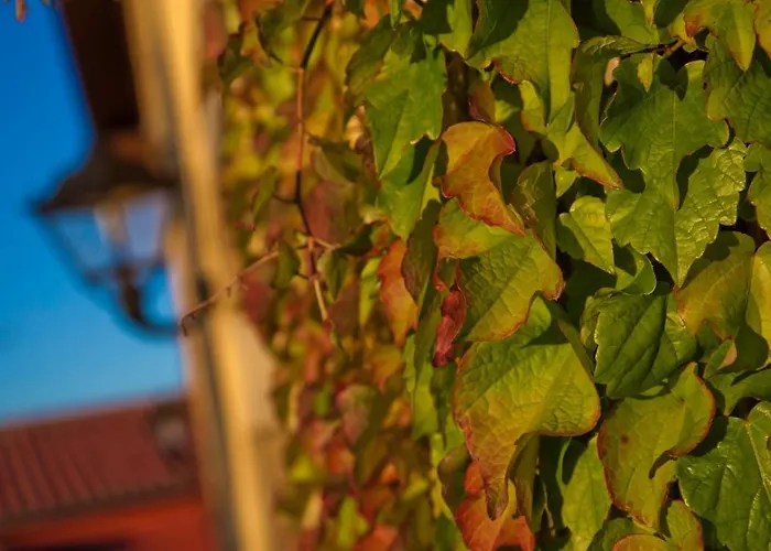 Landhaus San Pedro Orena