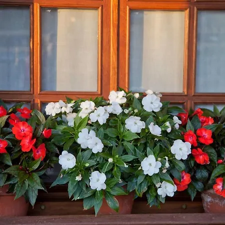 San Pedro Εξοχικό σπίτι Orena