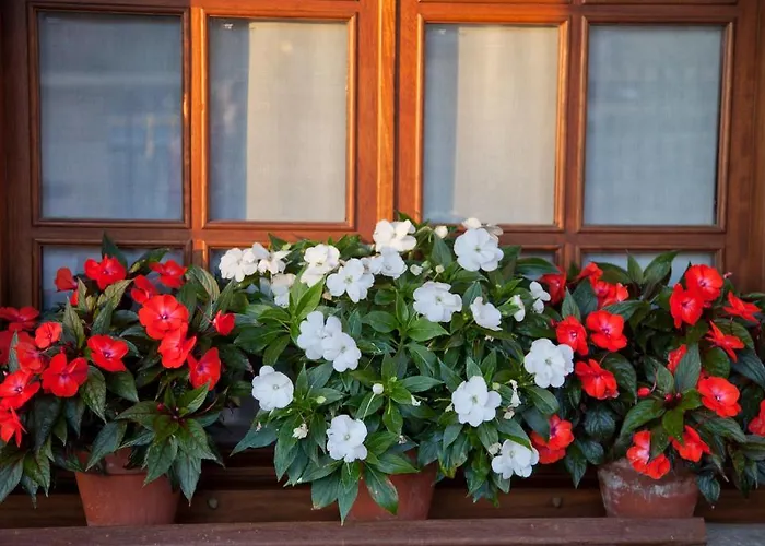 San Pedro Casa rural Orena